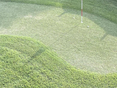 Putting Greens