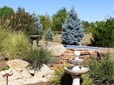 Landscaping Services, Prescott Valley, AZ