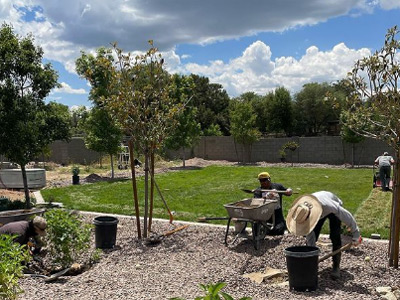 Landscaping, Prescott, AZ