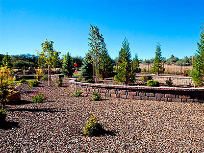 Landscape Maintenance, Phoenix, AZ
