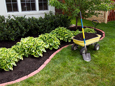Landscape Maintenance, Flagstaff, AZ