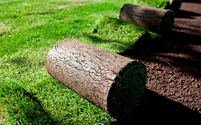 Sod Installation, Wickenburg, AZ